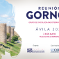 BANNER GORNOR 85x85